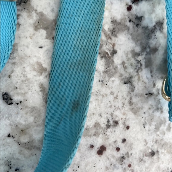 Henri Bendel influencer Dog Leash and Harness set - Picture 5 of 8